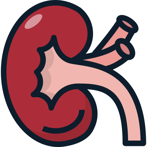 Kidney test category icon