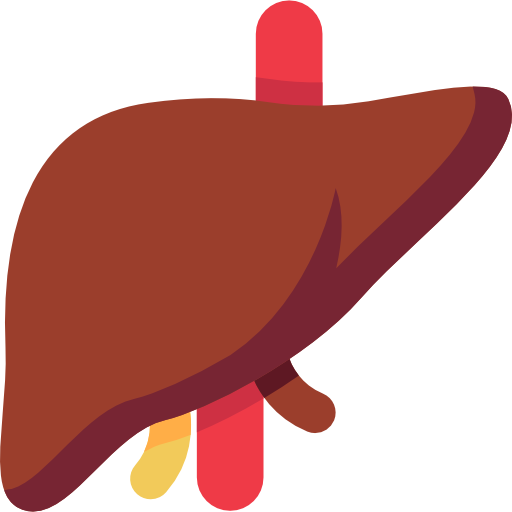 Liver test category icon